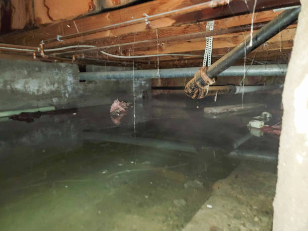 Best Fire Damage Restoration  in Valley Center, KS