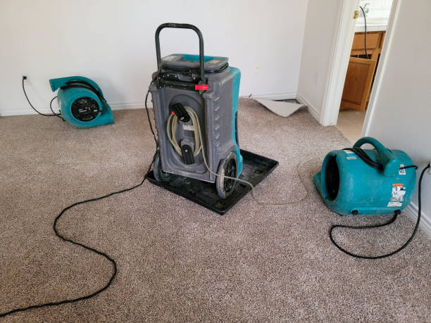 Best Flood damage cleanup  in Valley Center, KS