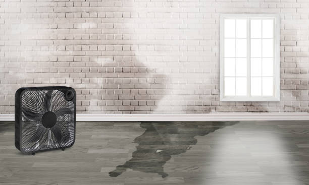Water damage restoration mold remediation in KS
