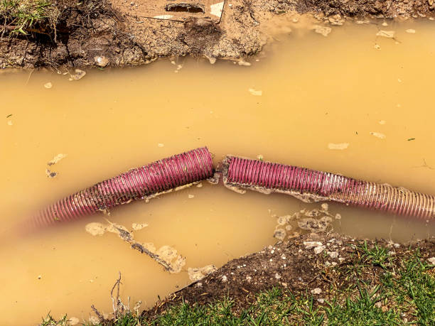 Best Water damage restoration near me  in Valley Center, KS